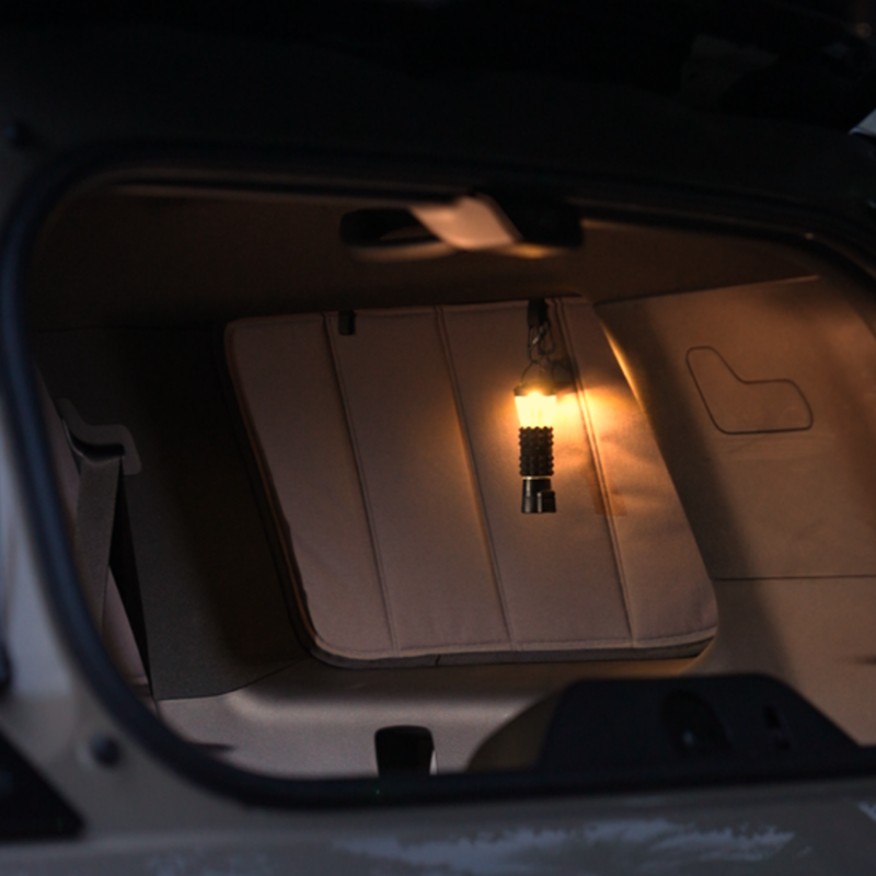 Lexus GX550 Magnetic Window Shades